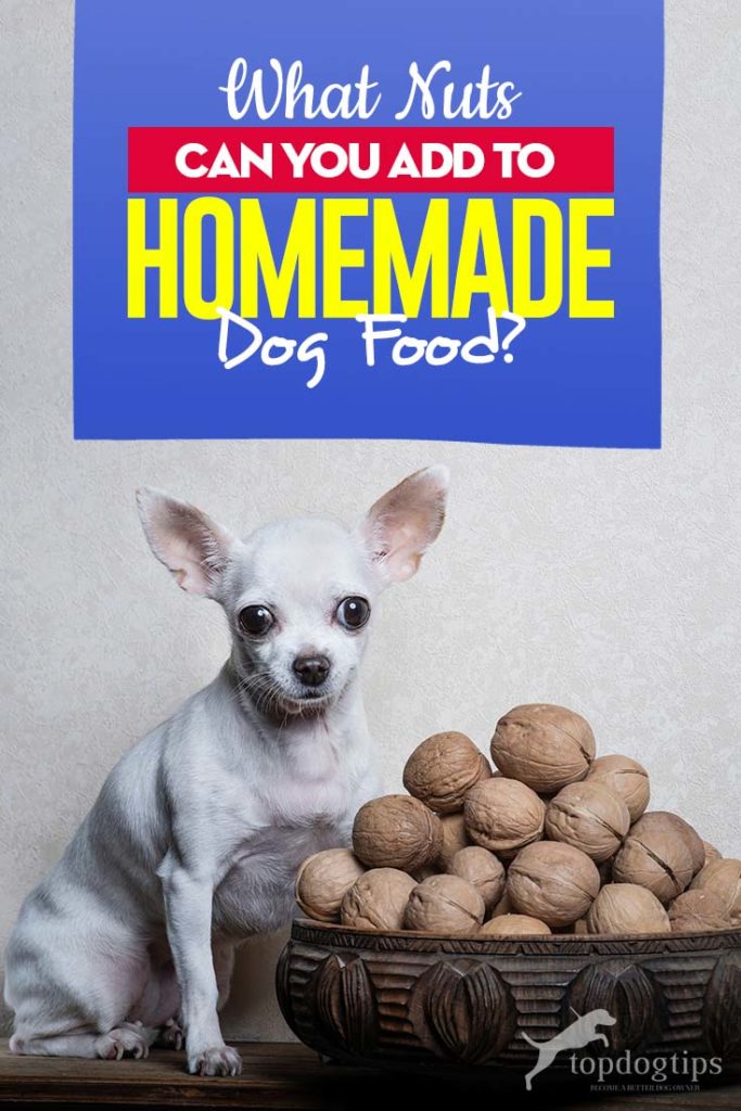 Advice on Adding Nuts to Homemade Dog Food Recipes