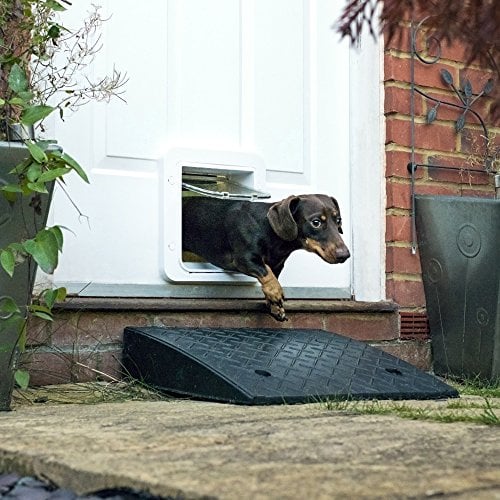 SureFlap Automatic Dog Door