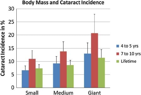 Cataract incidents by dog breed size