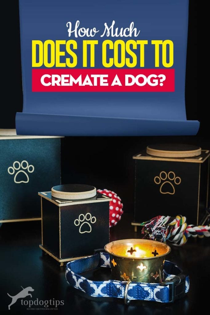 How Much Does It Cost to Cremate a Dog