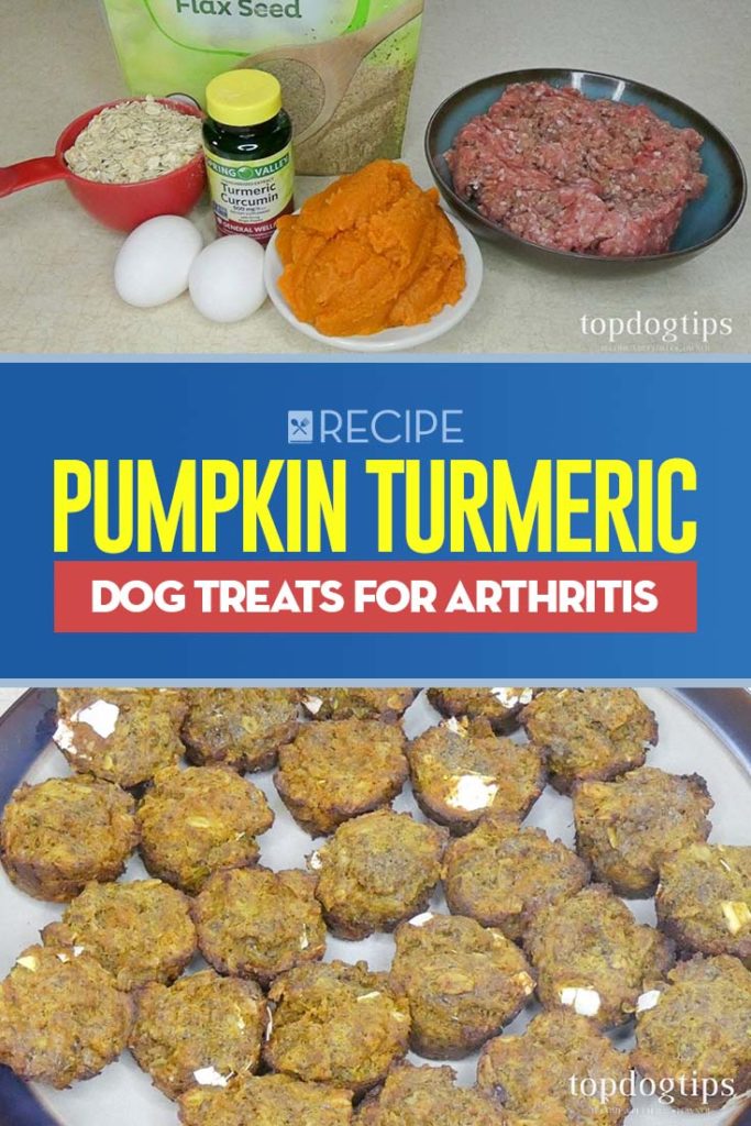 Recipe of Pumpkin Turmeric Dog Treats for Arthritis