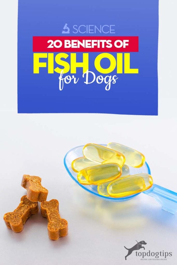 Top 20 Benefits of Fish Oil for Dogs (Based on Science)