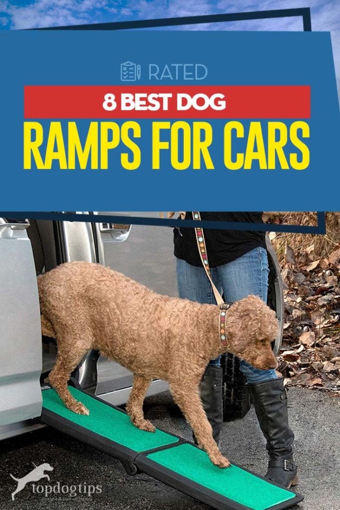 Top 8 Best Dog Ramps for Cars