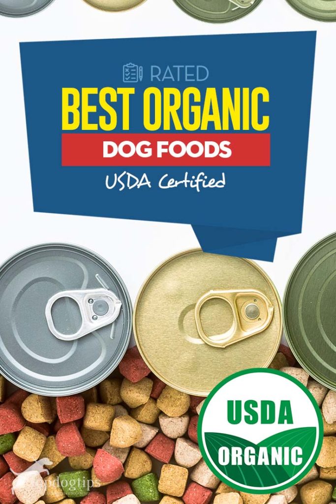 Top Rated Best Organic Dog Food Brands (USDA Certified)