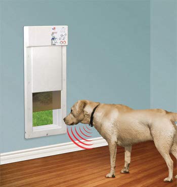 collar activated dog door