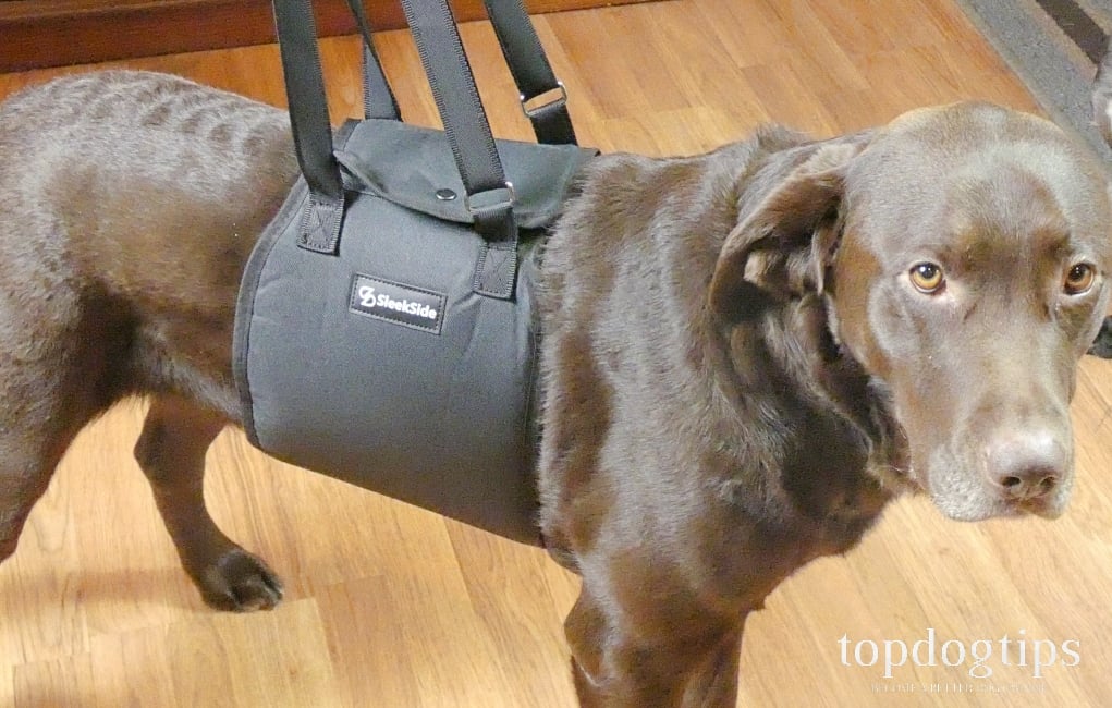 SleekSide Dog Lift Sling Review