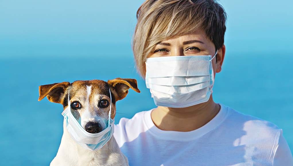 4 Facts About Coronavirus All Dog Owners Must Know