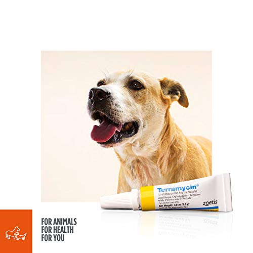 Zoetis Terramycin Ophthalmic Ointment by Zoetis Animal Health