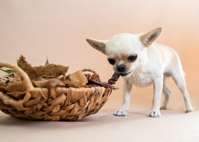 Dog Pulling A Basket Filled With Homemade Dog Food Ingredients