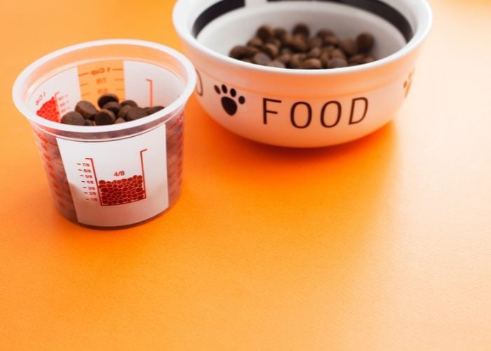 Homemade Dog Food In Cups