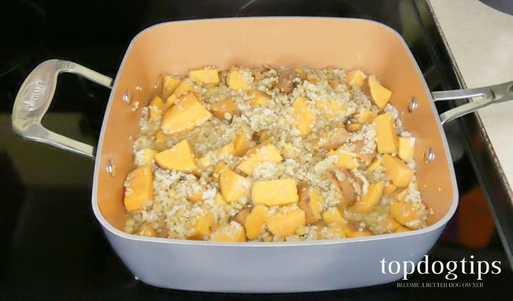 Sweet Potato Dog Food Recipe