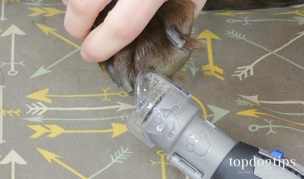 Dremel PawControl Dog Nail Grinder Review