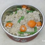 Homemade food for diabetic dogs recipe