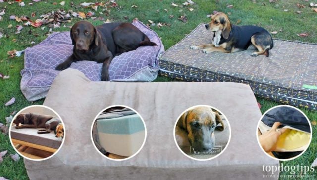 Top Most Indestructible Dog Beds