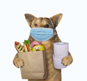 What Pet Supplies to Buy During Coronavirus