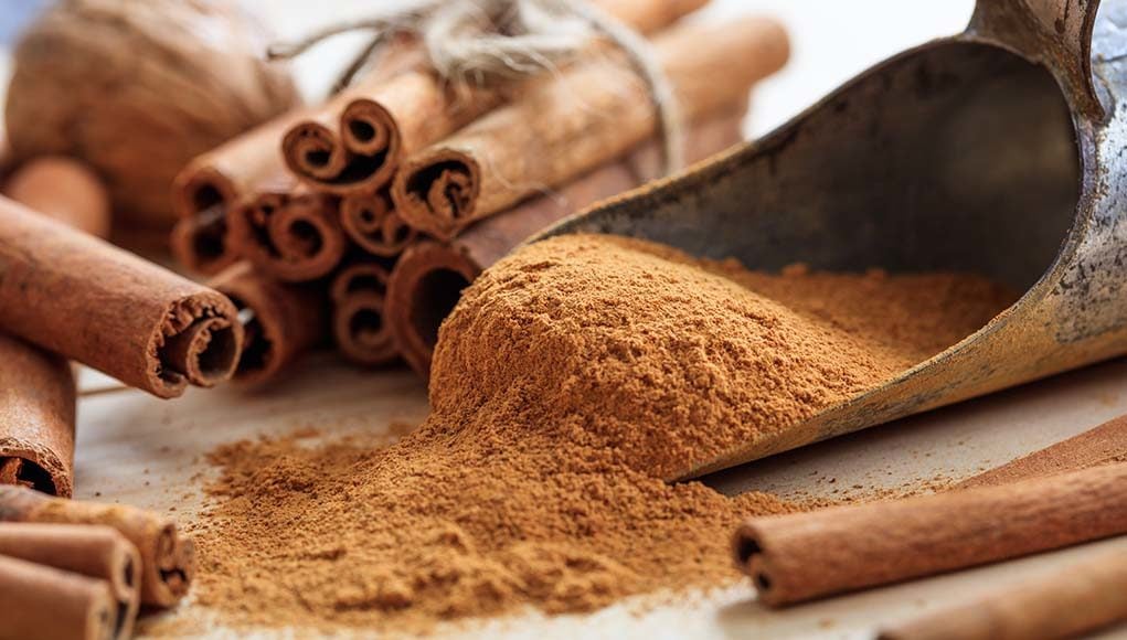 Cinnamon for Dogs - Uses, Benefits and Side Effects