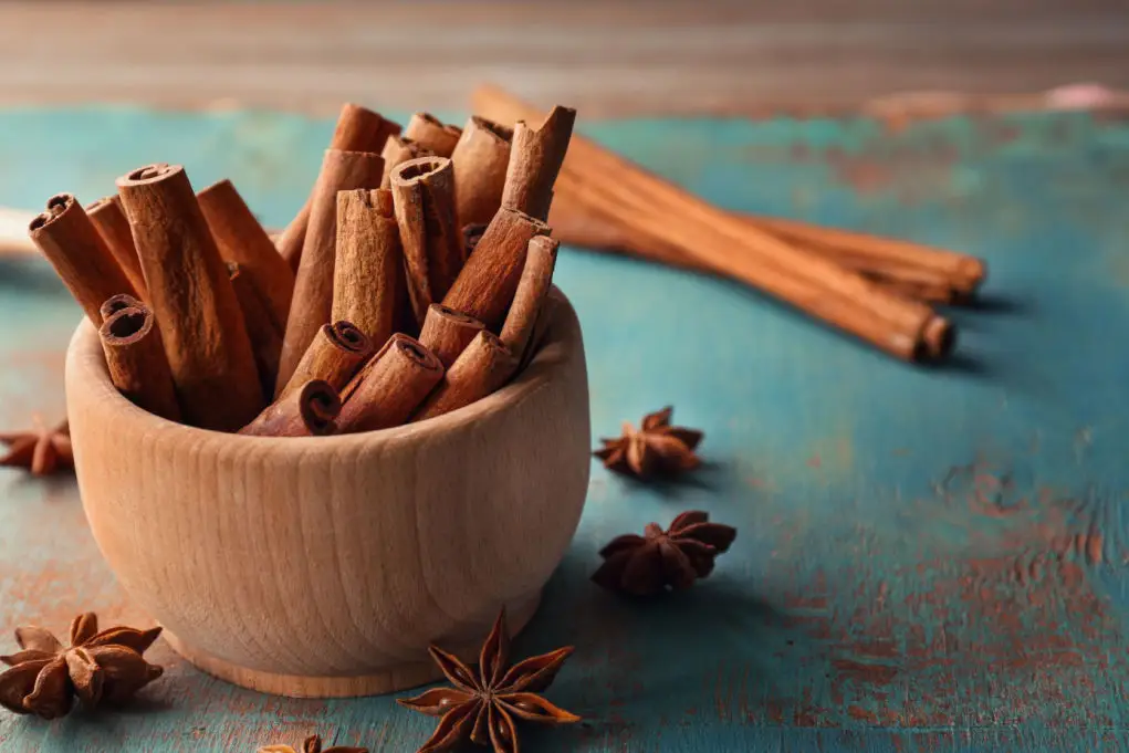 Is cinnamon bad for dogs?