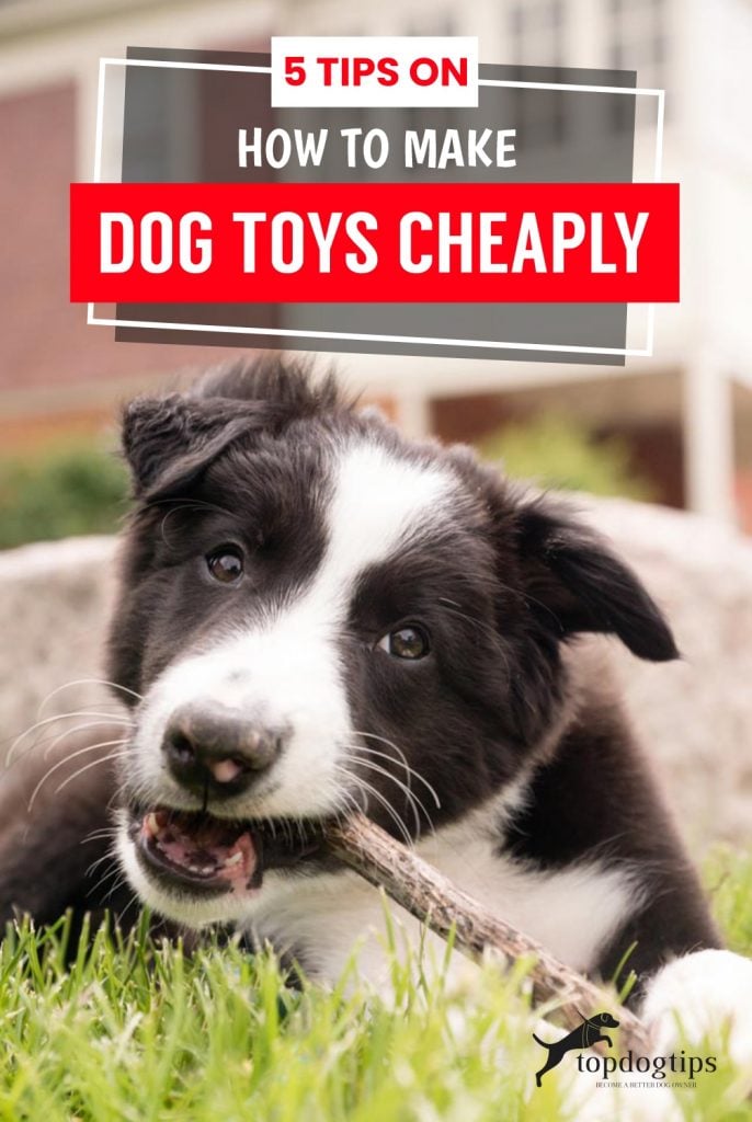 Make Dog Toys Cheaply