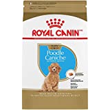 Royal Canin’s Poodle puppy formula