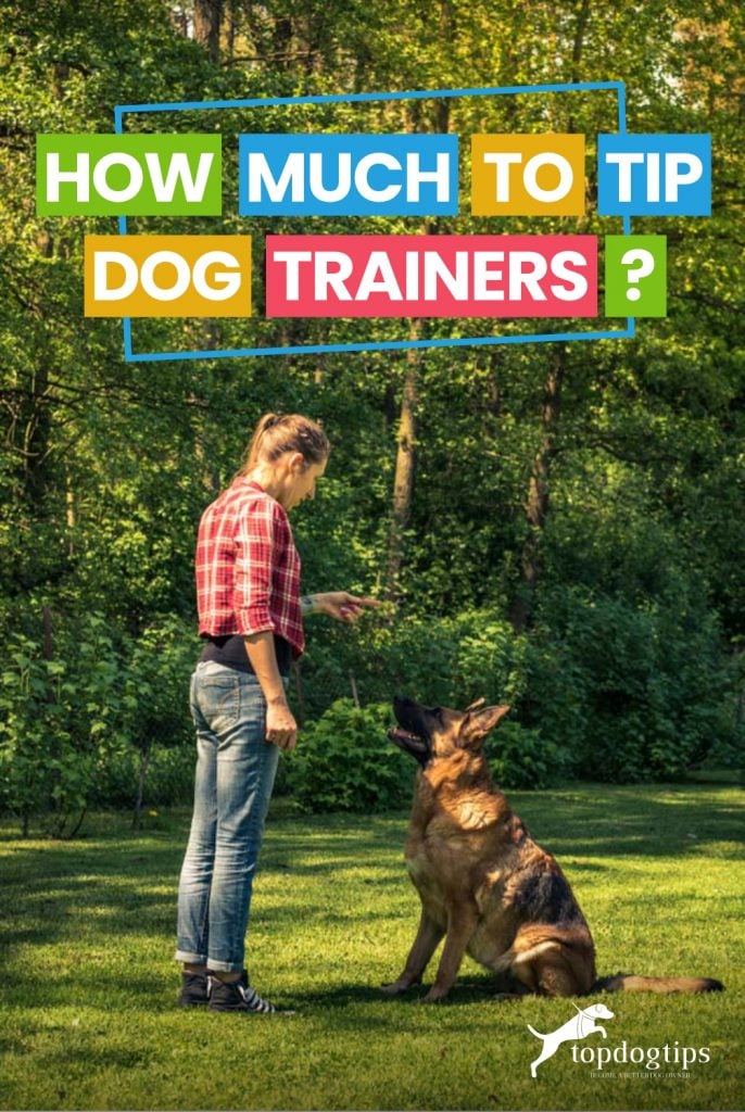 How Much to Tip Dog Trainers-