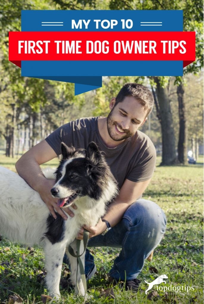 My Top 10 First Time Dog Owner Tips