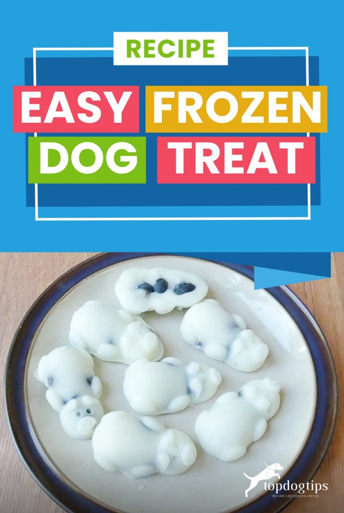 Recipe- Easy Frozen Dog Treat