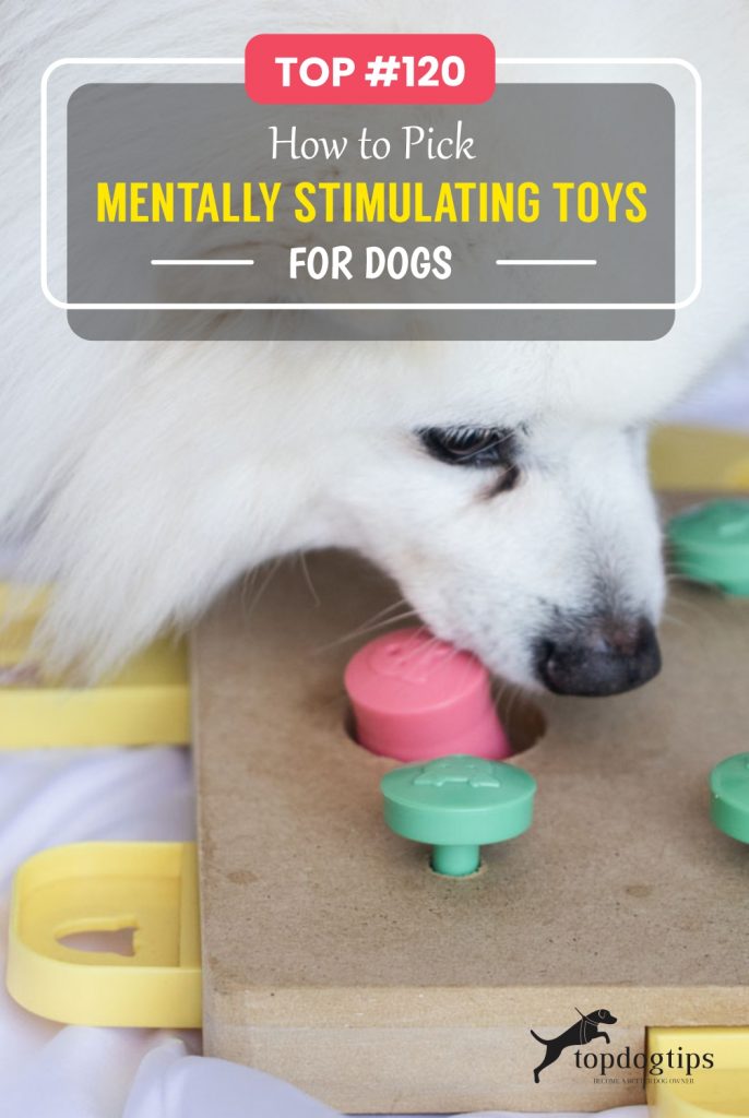 TOP -120 How to Pick Mentally Stimulating Toys for Dogs