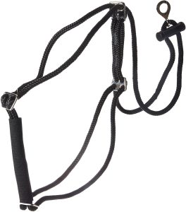 coastal harness