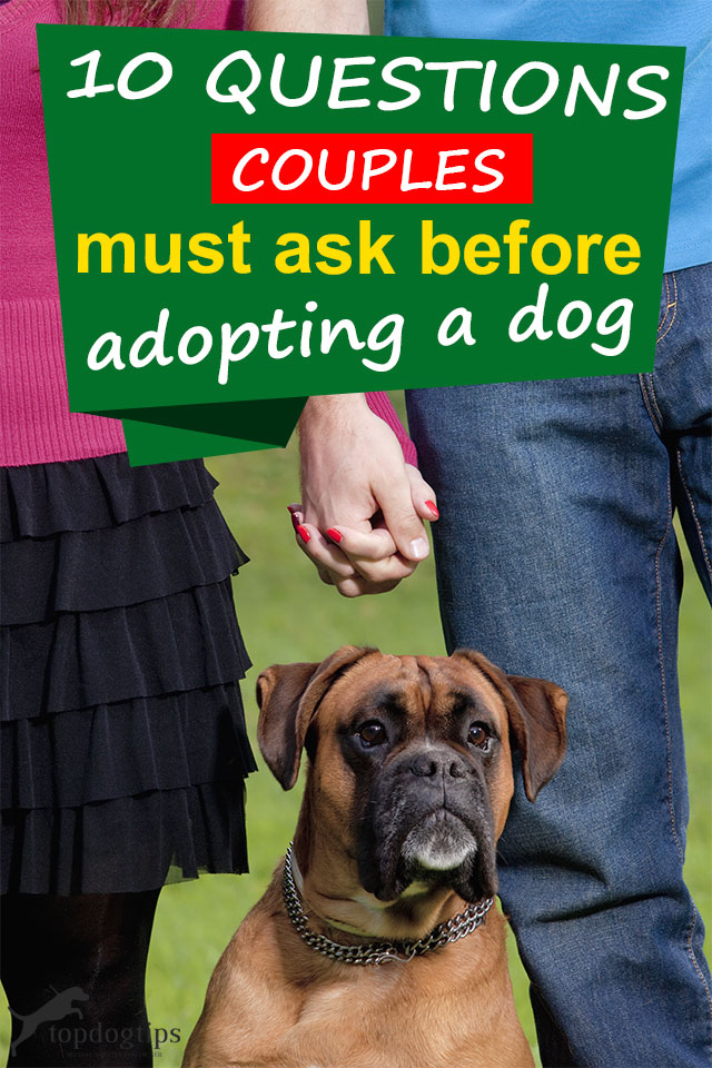 Questions Couples Should Ask Before Adopting A Dog