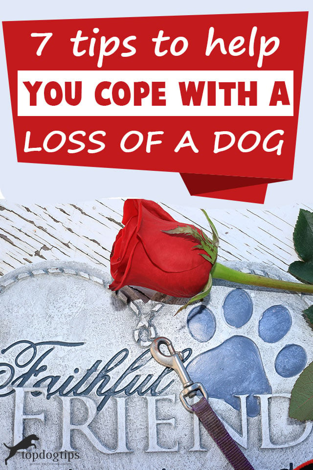 Tips On How To Cope With A Loss Of A Dog