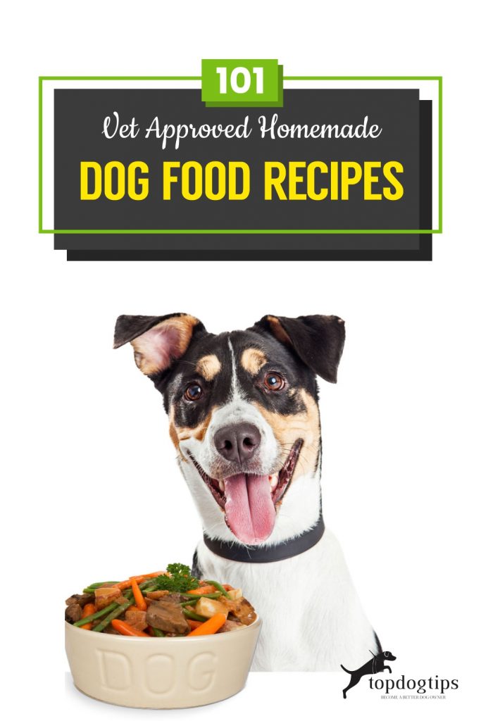 101 Vet Approved Homemade Dog Food Recipes