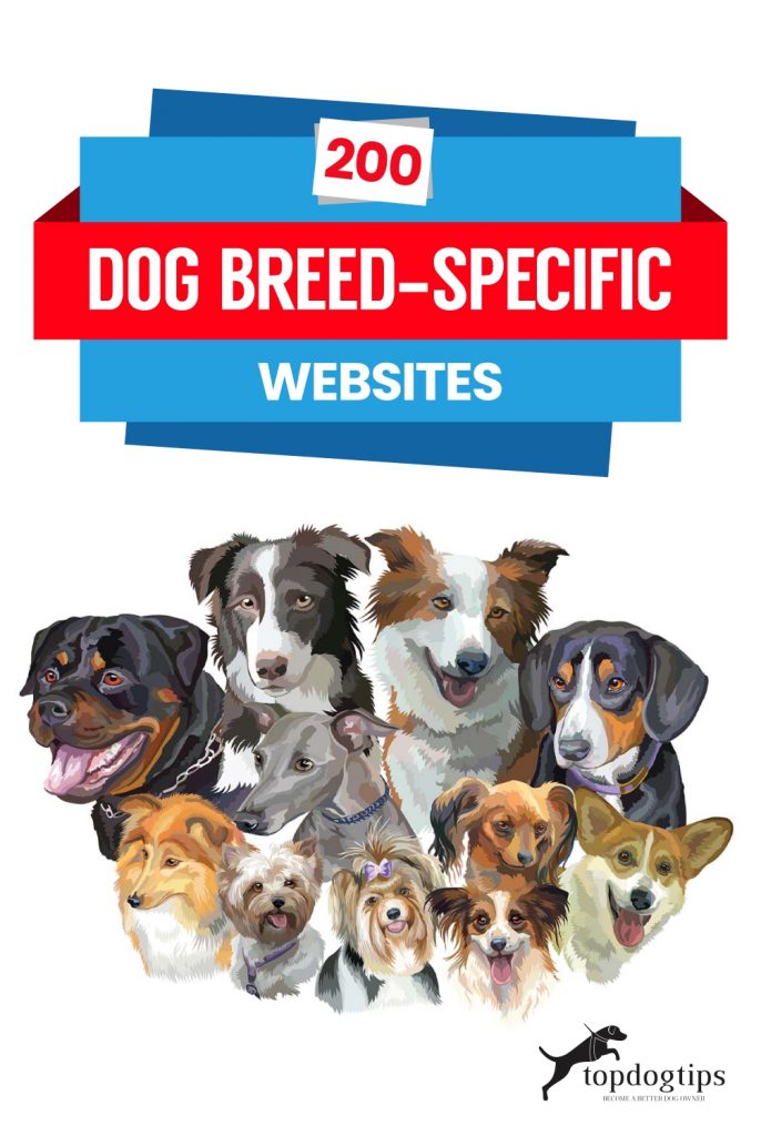 200 Dog Breed-Specific Websites