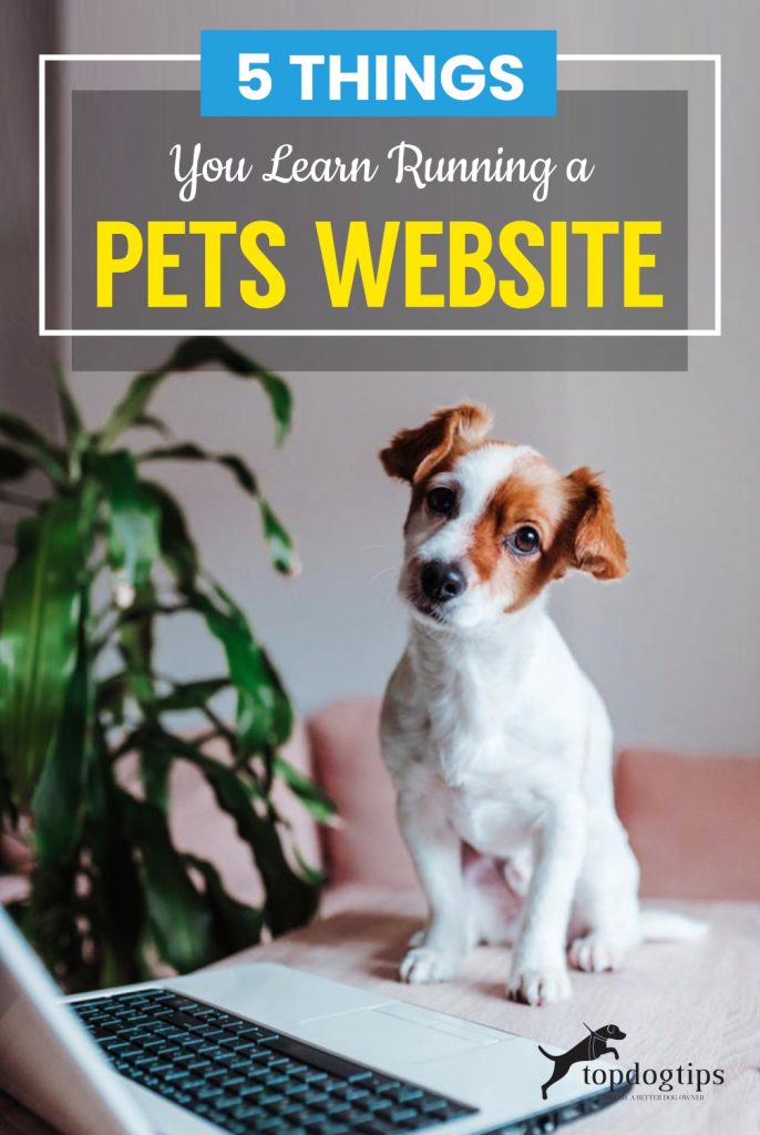 5 Things You Learn Running a Pets Website