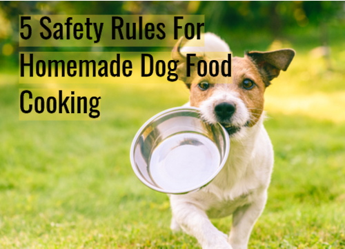 Brown and white dog holding a metal dog food bowl in this mouth while running