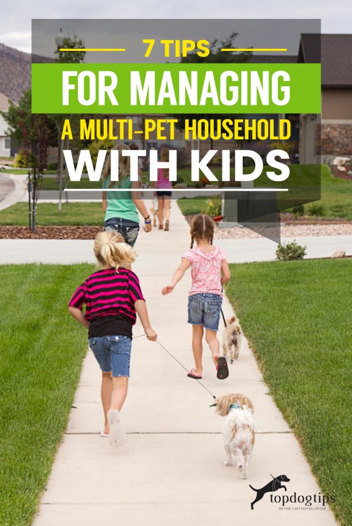 7 Tips for Managing a Multi-pet Household with Kids