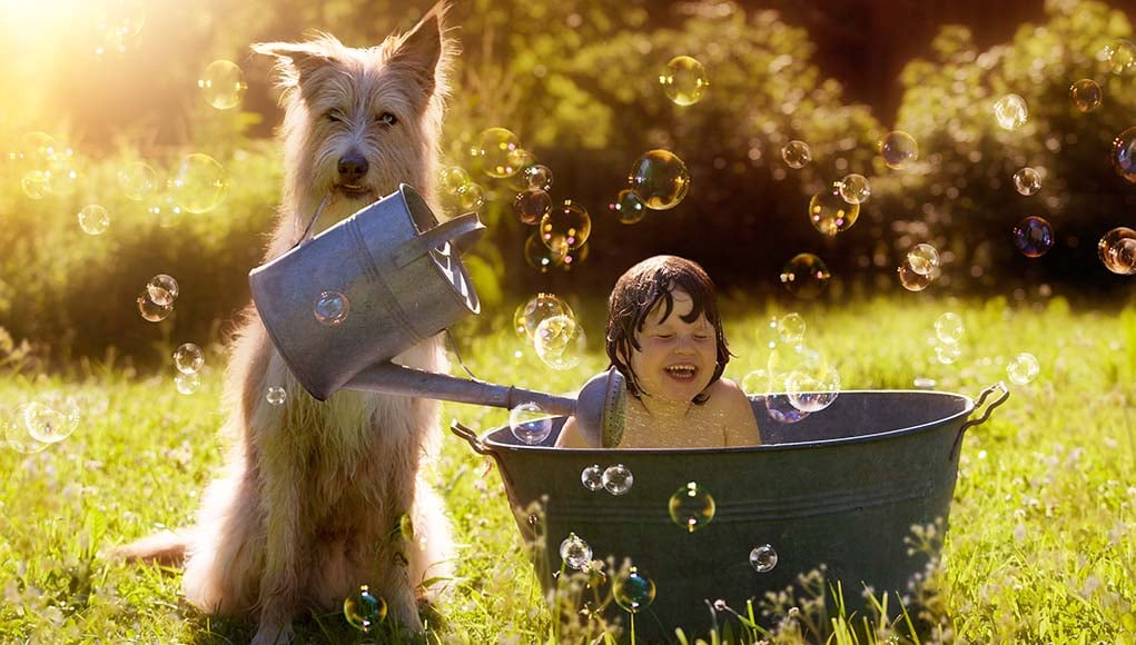 9 Tips for Introducing Toddlers to Dogs