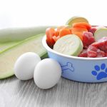 Healthy Raw Diet for Dogs