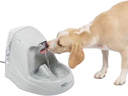 PetSafe Drinking Fountain