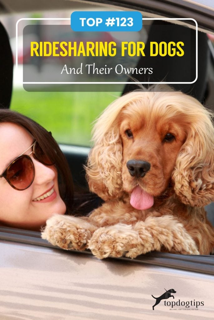 TOP -123- Ridesharing for Dogs and Their Owners