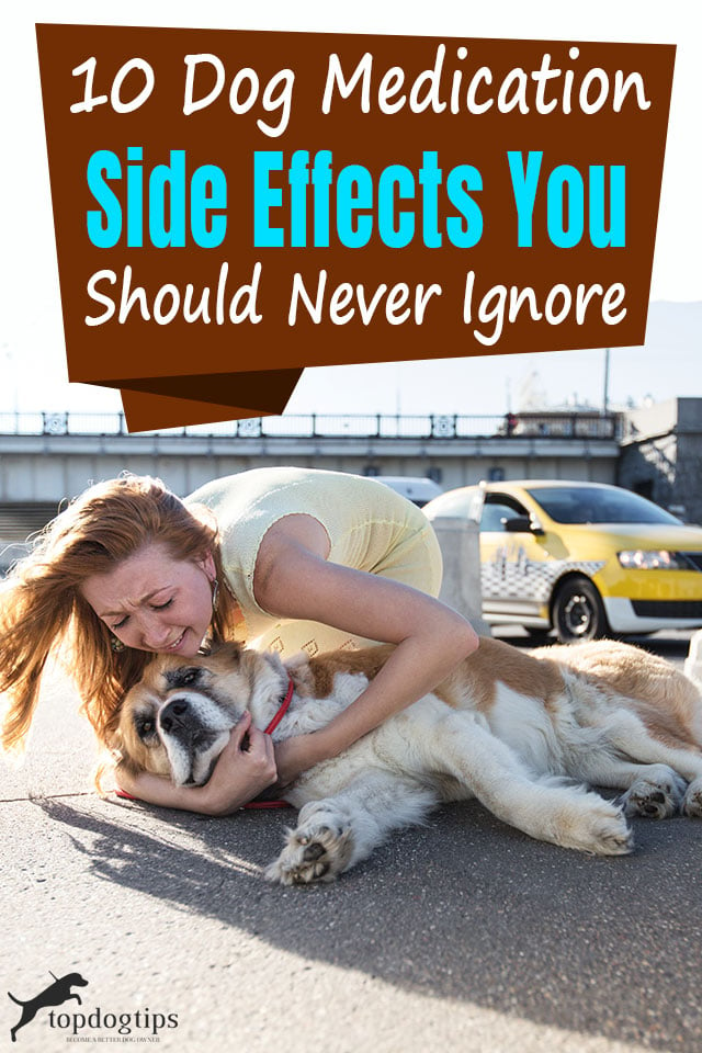 Dog Medications Side Effects You Should Never Ignore