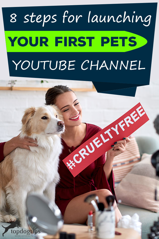 Steps For Launching Your First Pets YouTube Channel