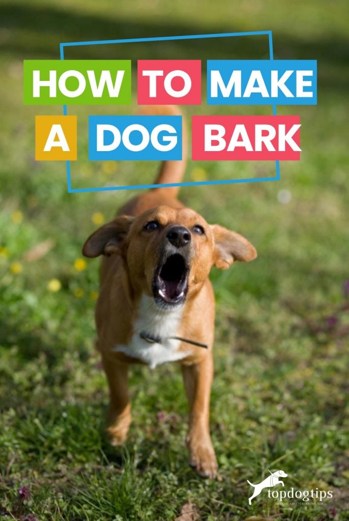 How To Make A Dog Bark