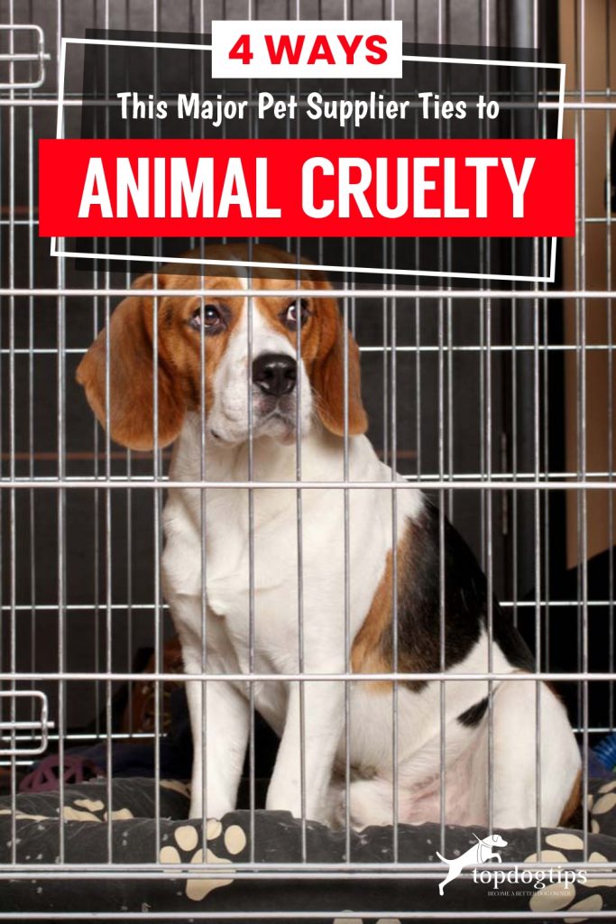 4 Ways This Major Pet Supplier Ties to Animal Cruelty