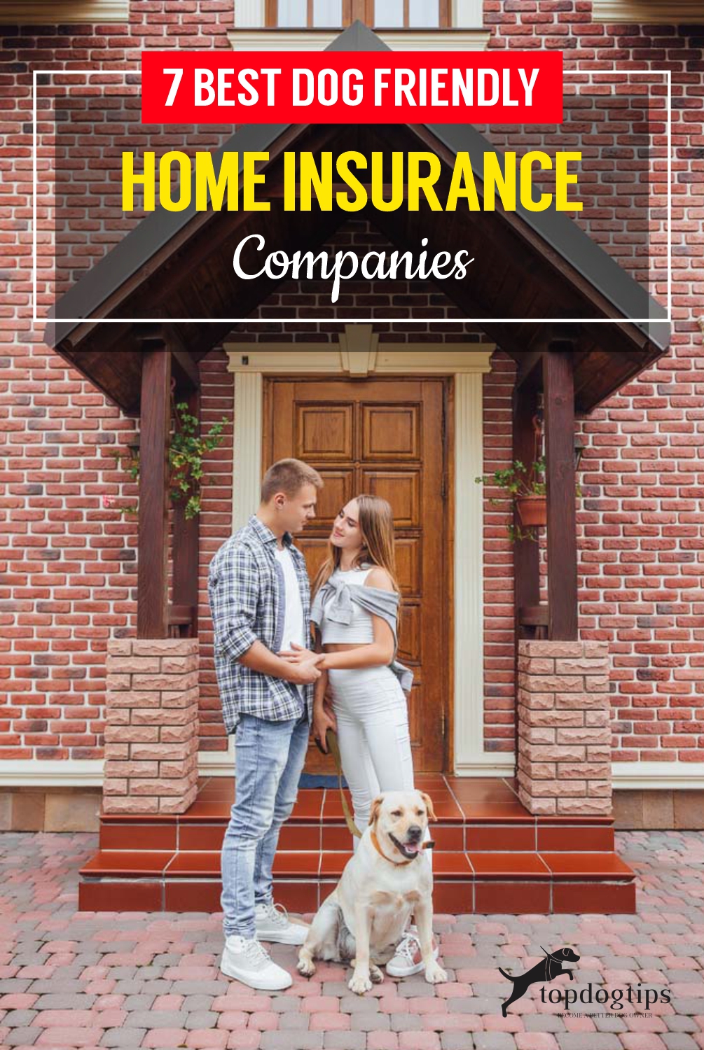 7 Best Dog-Friendly Home Insurance Companies