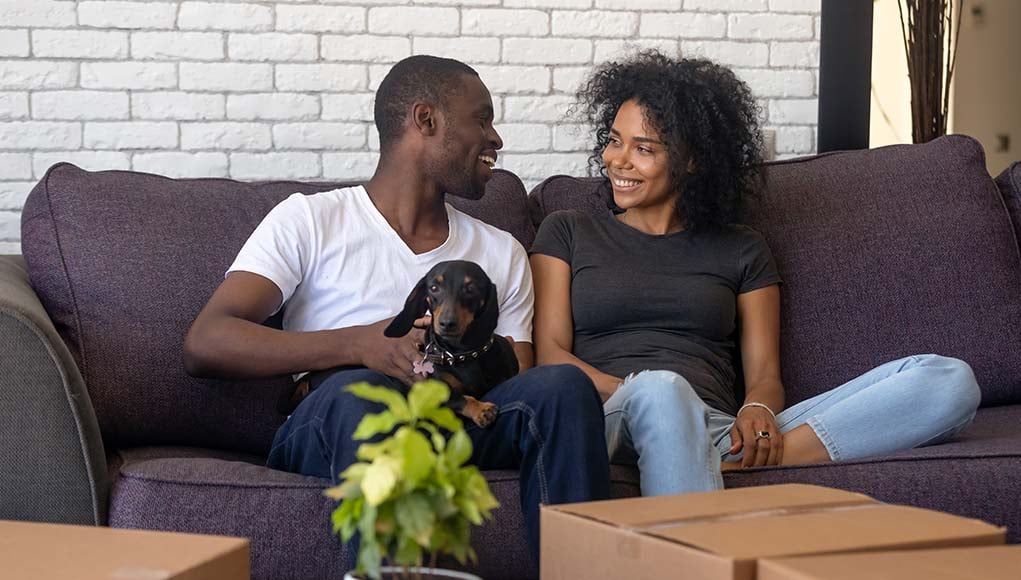 7 Best Dog-Friendly Home Insurance Companies