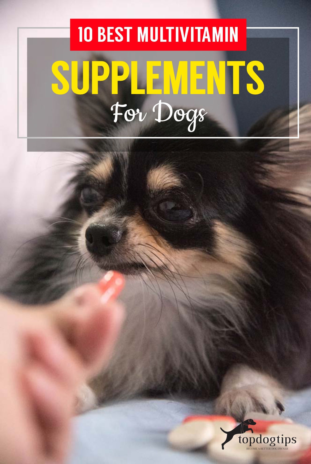 10 Best Multivitamin Supplements For Dogs