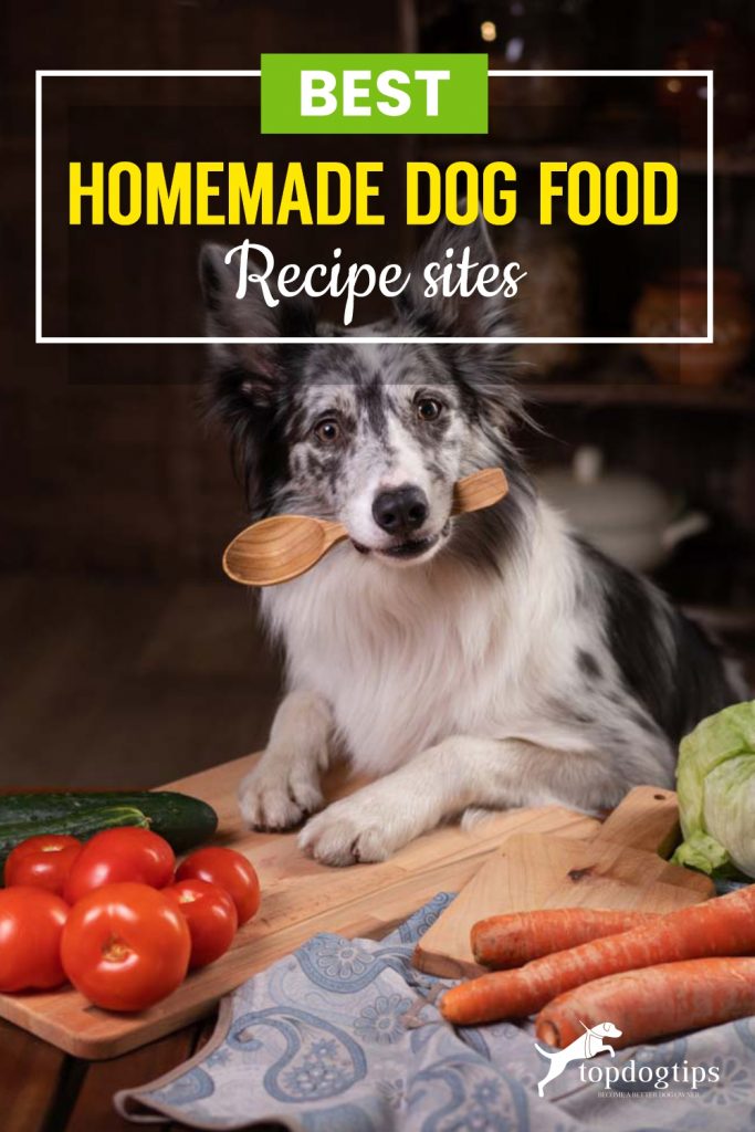 best-homemade-dog-food-recipe-sites