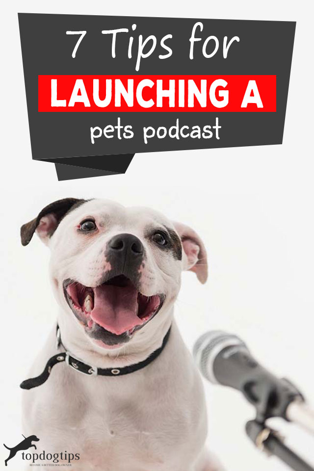 Tips For Launching A Pets Podcast