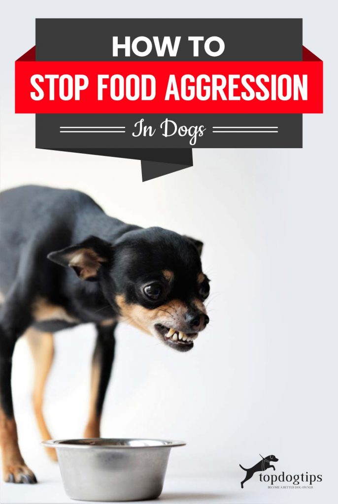 How To Stop Food Aggression in Dogs