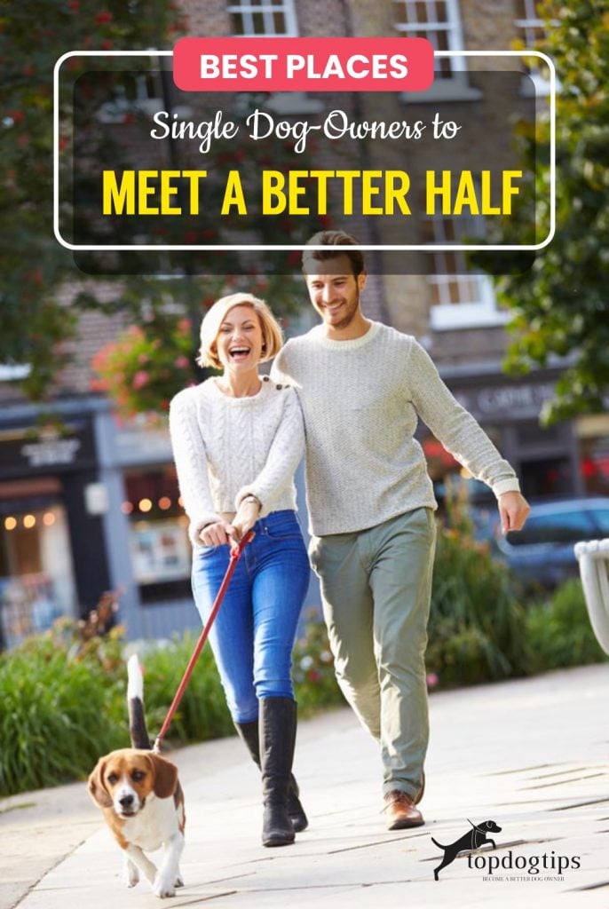 Best Places Single Dog-Owners to Meet a Better Half